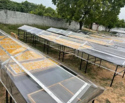 Raheja Solar Food Processing - Gallery image