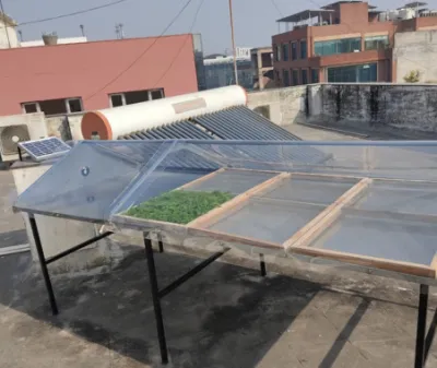 Raheja Solar Food Processing - Gallery image